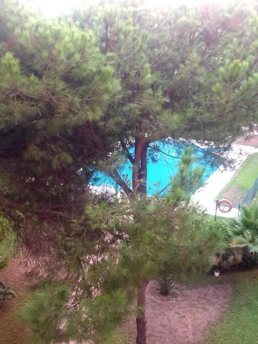 Precioso Estudio Con Piscina A 200M Del Mar 马尔韦利亚 外观 照片