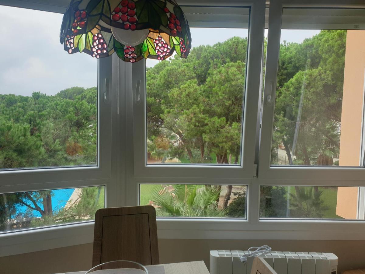 Precioso Estudio Con Piscina A 200M Del Mar 马尔韦利亚 外观 照片