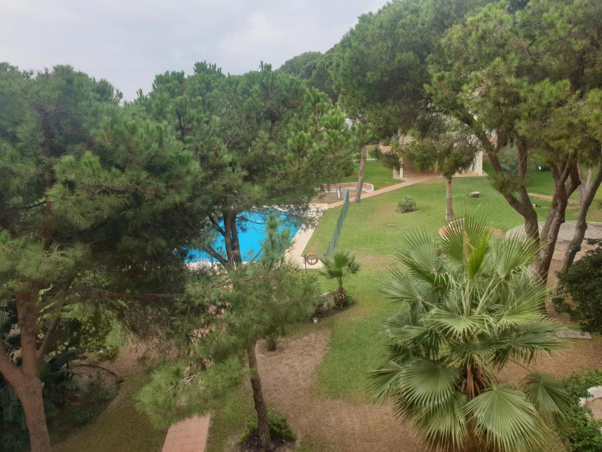 Precioso Estudio Con Piscina A 200M Del Mar 马尔韦利亚 外观 照片